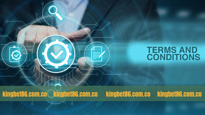 Điều khoản và điều kiện cùng trách nhiệm đôi bên